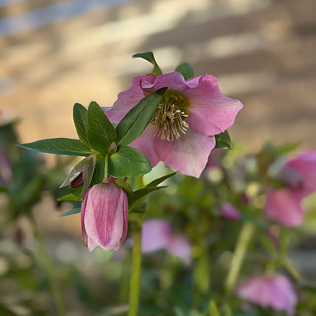 tomoさんの実例写真