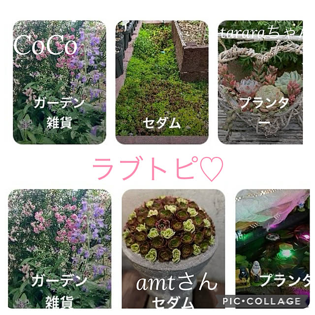 CoCo0617さんの実例写真
