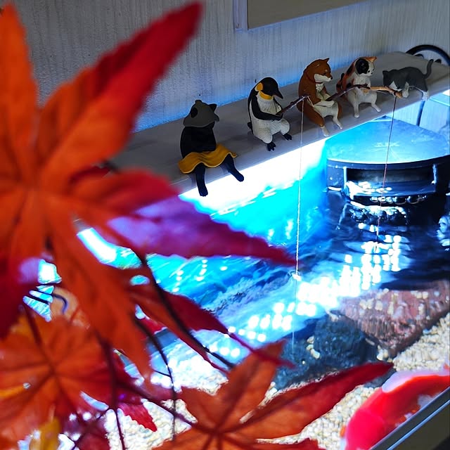 saayaさんの部屋