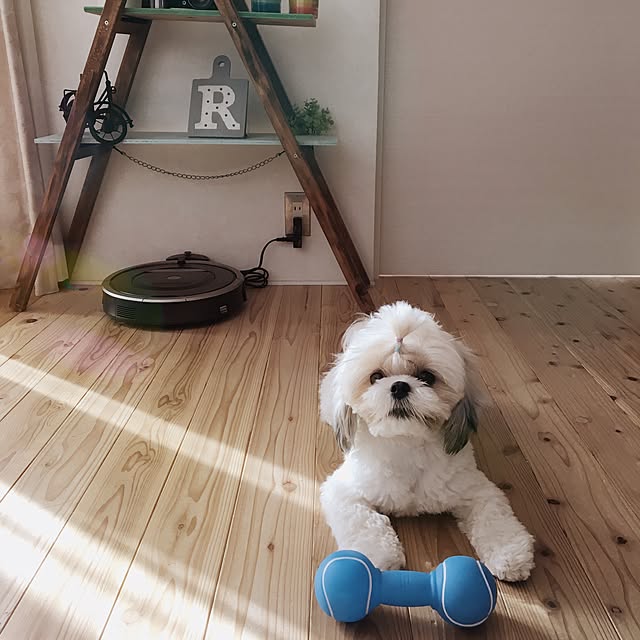 JASMINEさんの実例写真