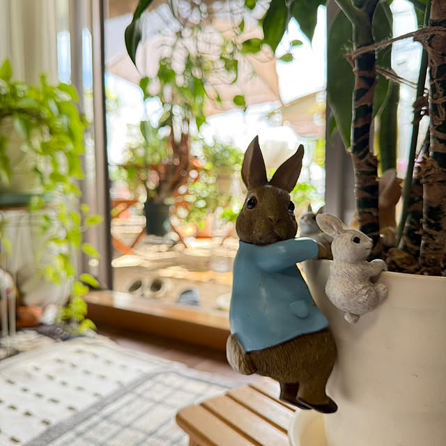 Aqettyさんの実例写真