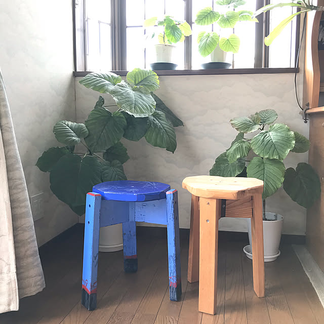 miporinさんの実例写真