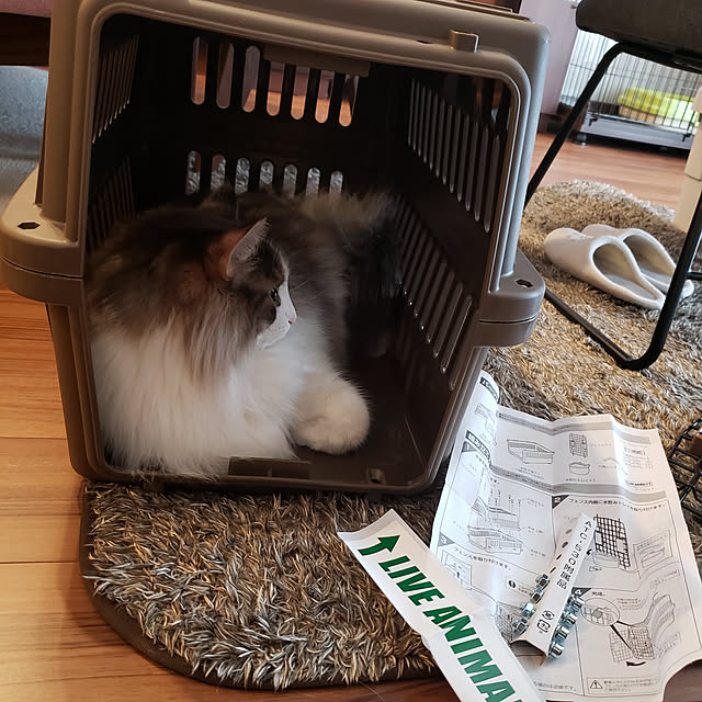 mofさんの実例写真