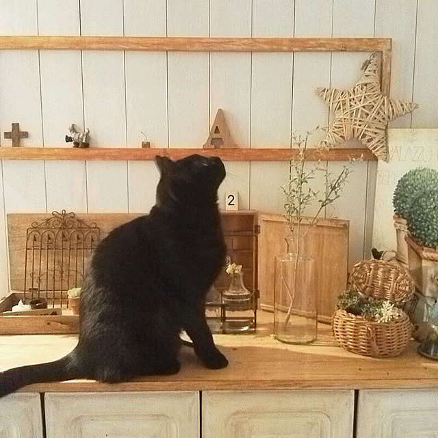 mikiさんの実例写真