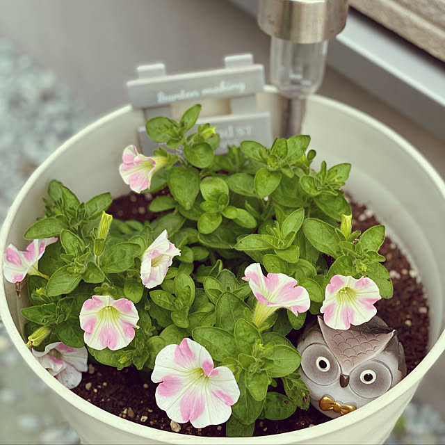 mhomemさんの実例写真
