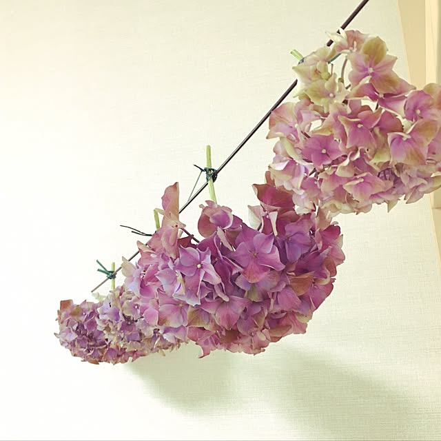 Midoさんの実例写真