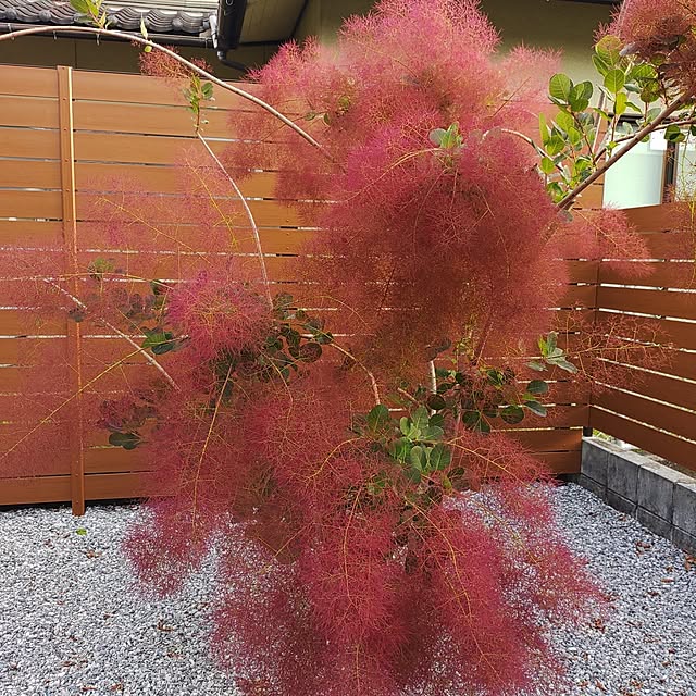 sonaさんの部屋