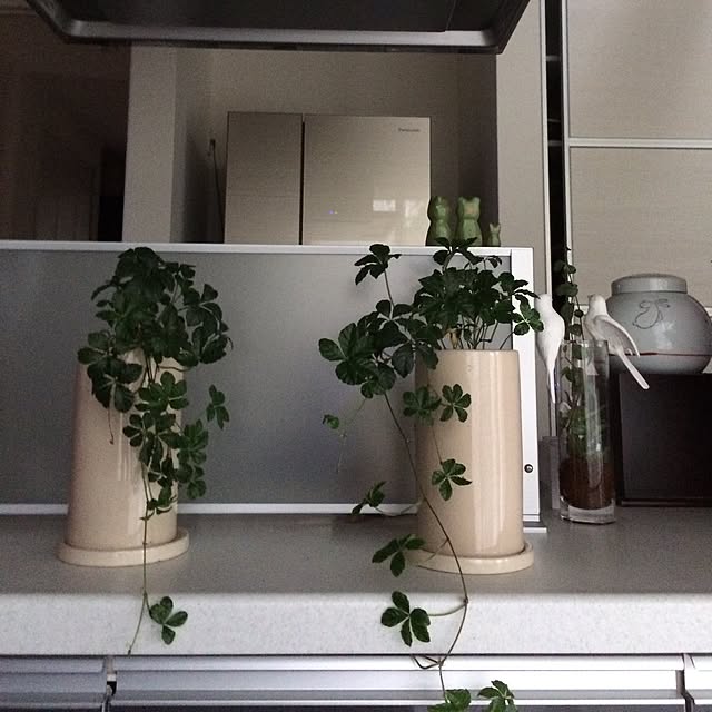 purimomamaさんの実例写真