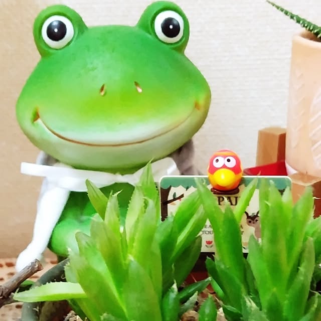 katさんの部屋