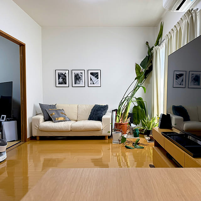 sakura-51さんの実例写真