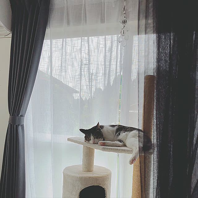 Shihoさんの実例写真