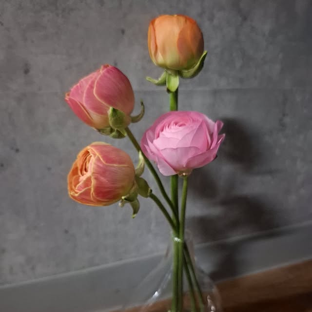 noaさんの部屋