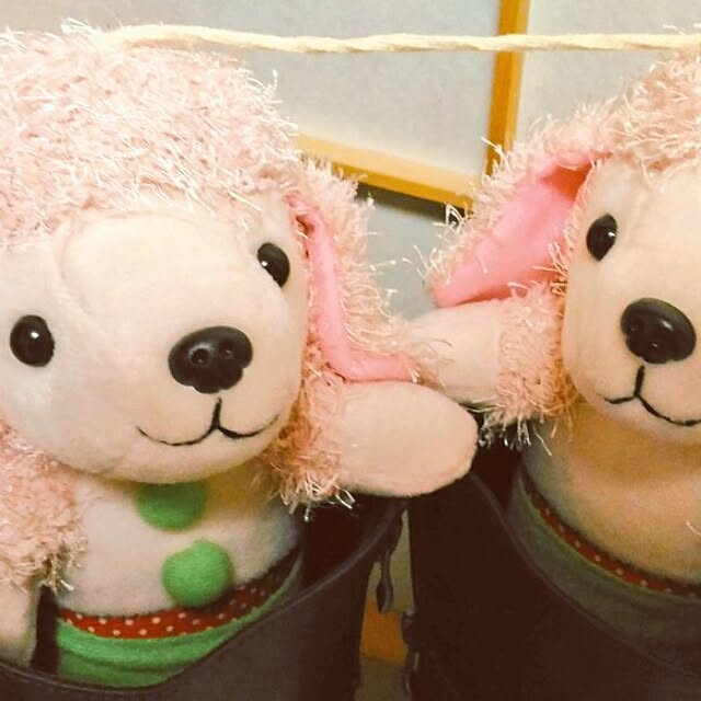 yuruさんの実例写真