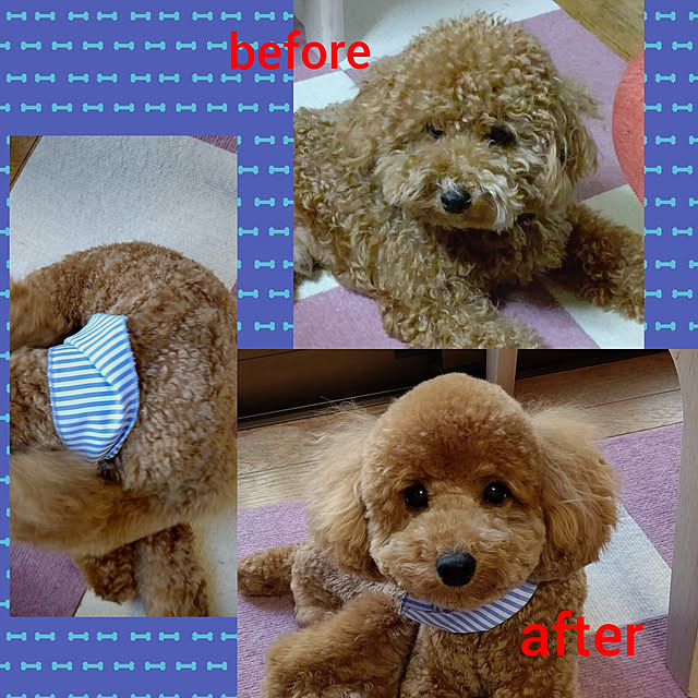 yumirinさんの実例写真