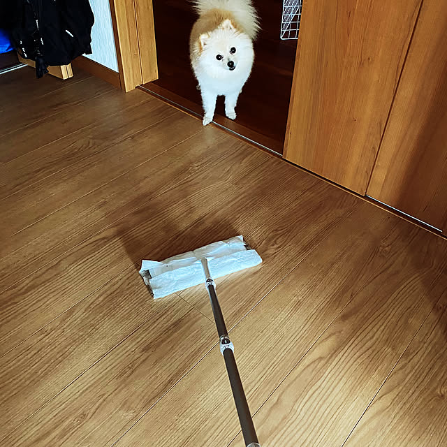 1546さんの部屋