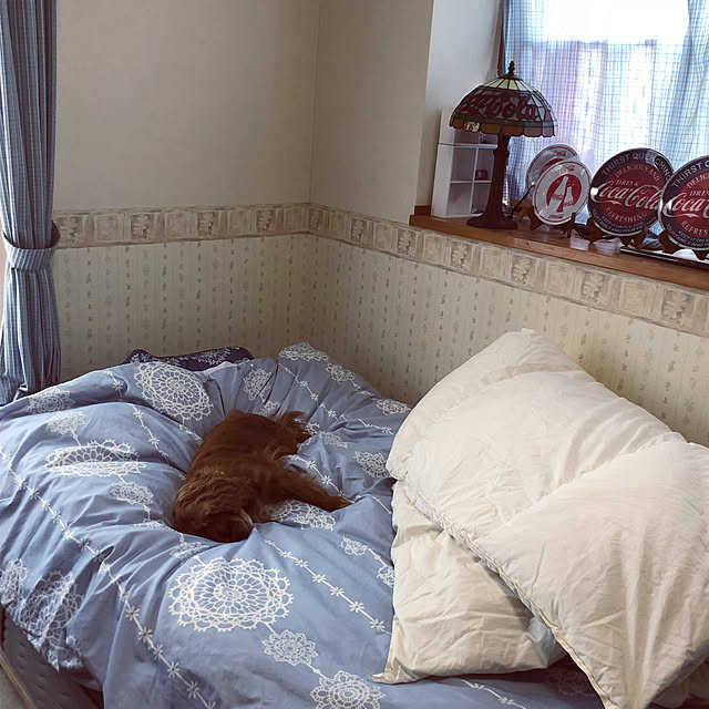 juncocoさんの実例写真