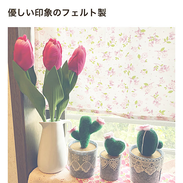 ChiCoさんの実例写真