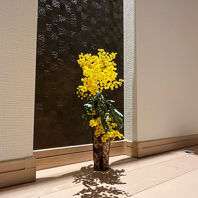 kichiroさんの実例写真
