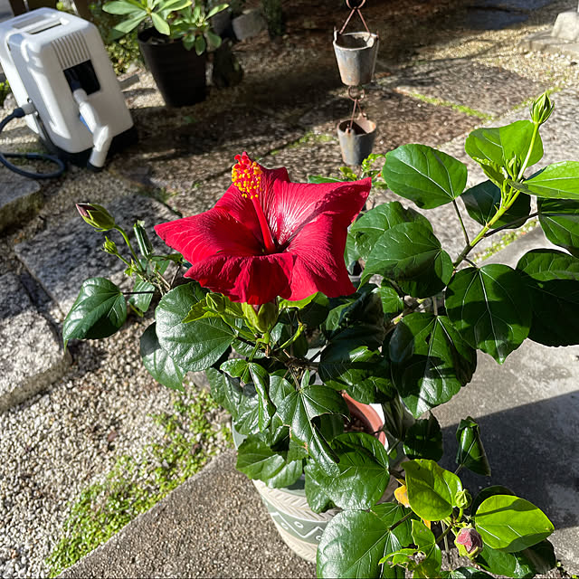 shin0719さんの実例写真