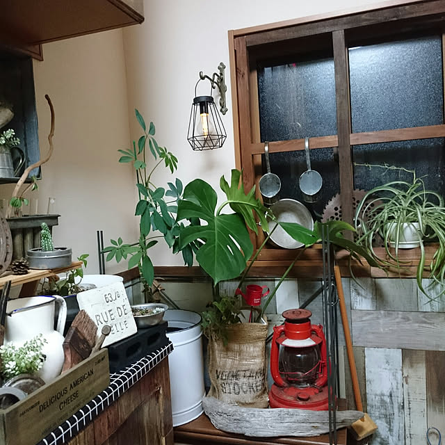 tikuwaさんの実例写真