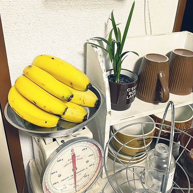 yomiyomiさんの実例写真
