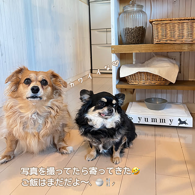 yumimaruさんの部屋