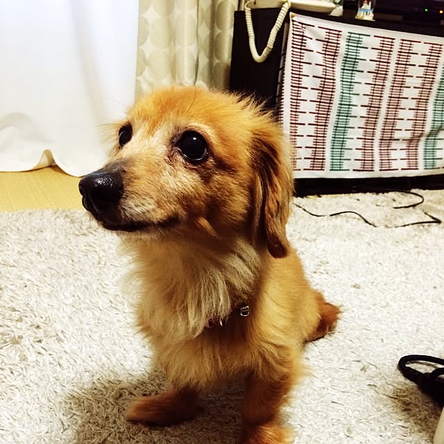 munieruさんの実例写真