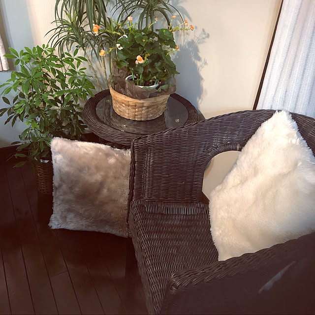 satooさんの実例写真