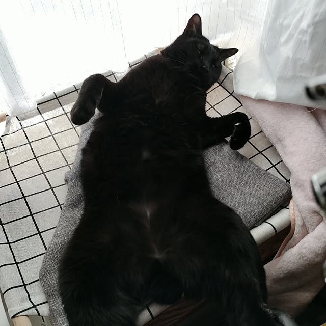 Tさんの部屋
