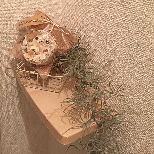 Rieさんの実例写真