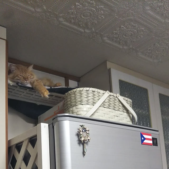 gabさんの実例写真