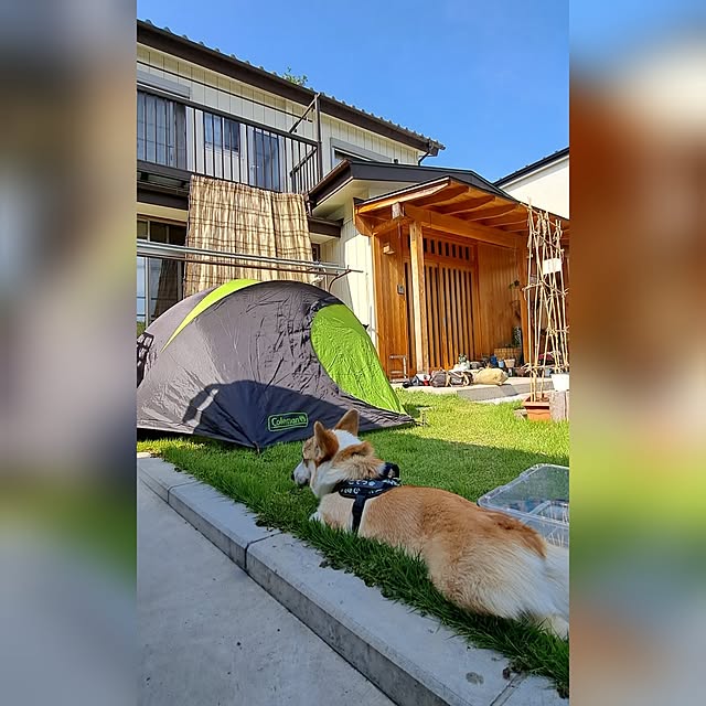 kazuraさんの実例写真