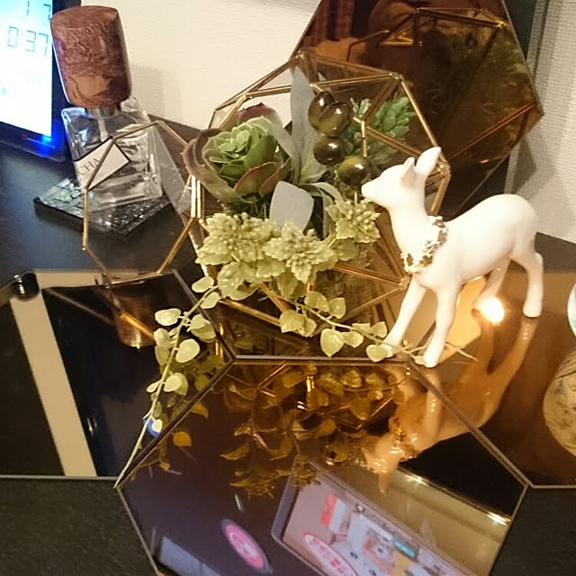 MhrMrkmさんの実例写真