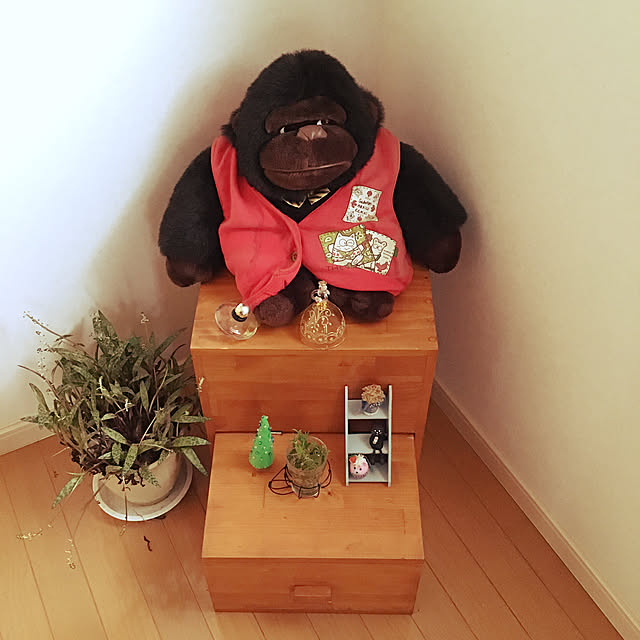 Setukoさんの実例写真