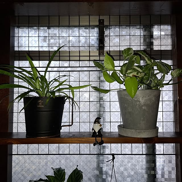 noaさんの部屋