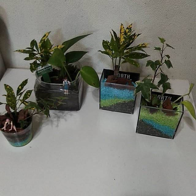 棚/植物のある暮らし/観葉植物/DIY/ダイソー雑貨のインテリア実例 - 2021-03-21 23:39:08