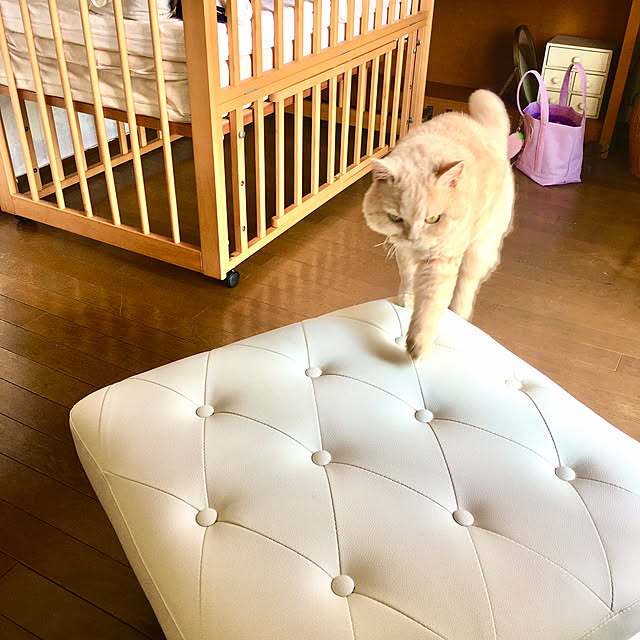 naokoさんの部屋