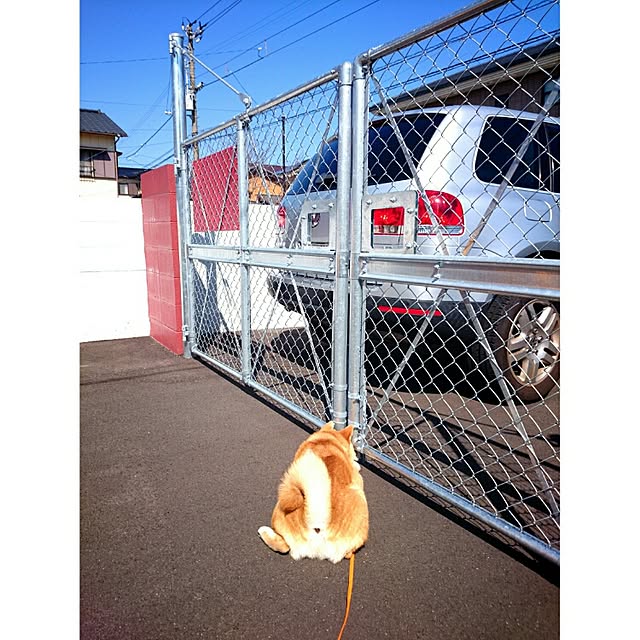 Yさんの実例写真