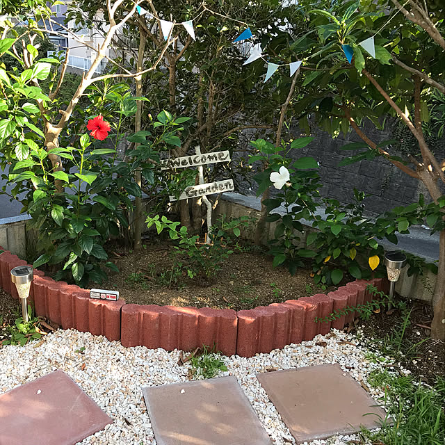 roseさんの部屋