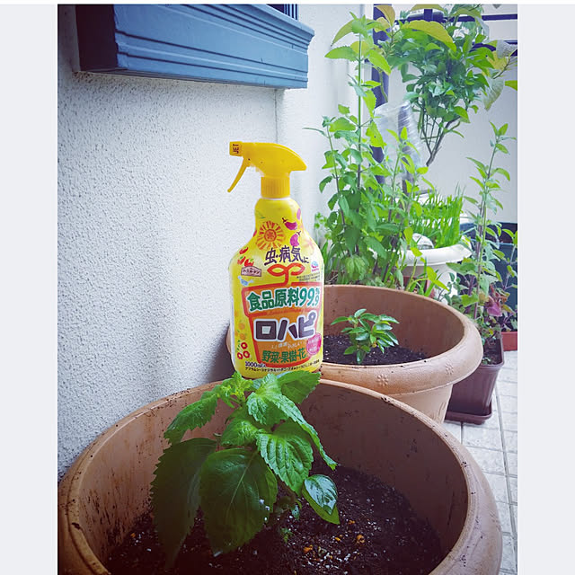 mntcさんの実例写真
