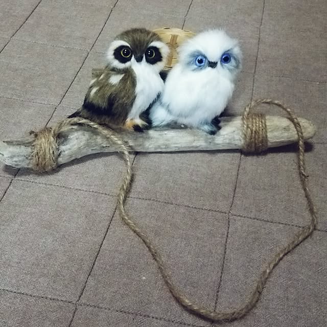 satominさんの実例写真