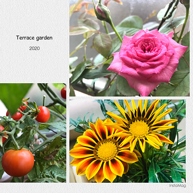 creer_ma_vieさんの実例写真