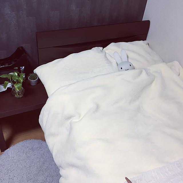 cocoさんの実例写真