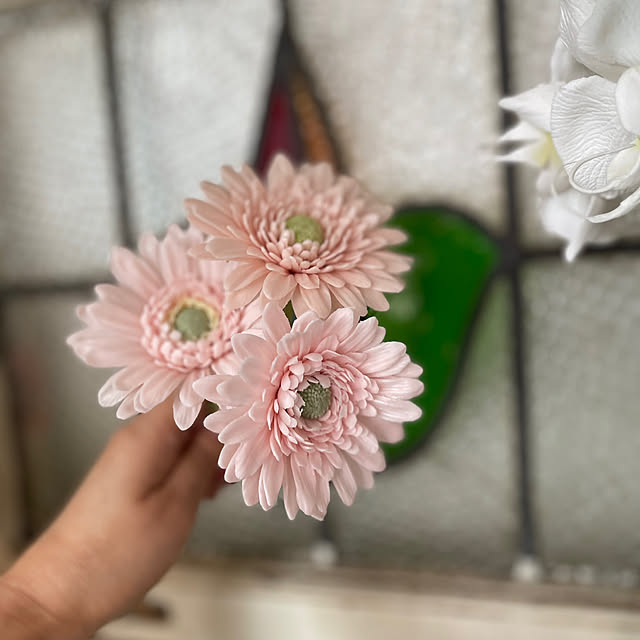 yoko_petitbonheurさんの部屋