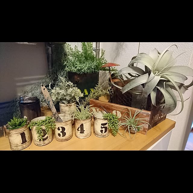 Naokoさんの実例写真