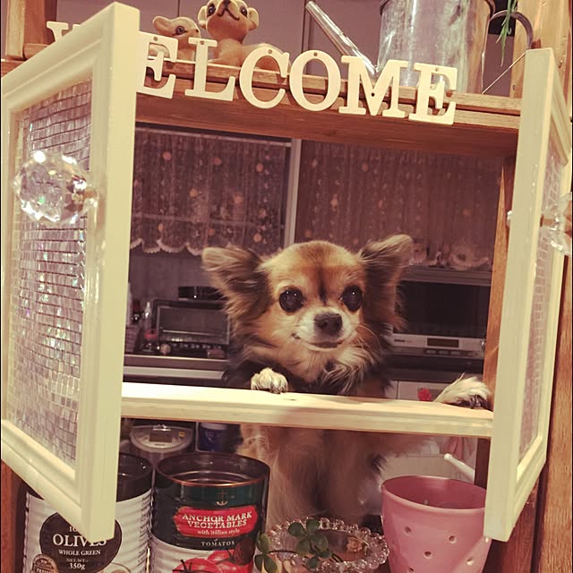 chappyさんの実例写真