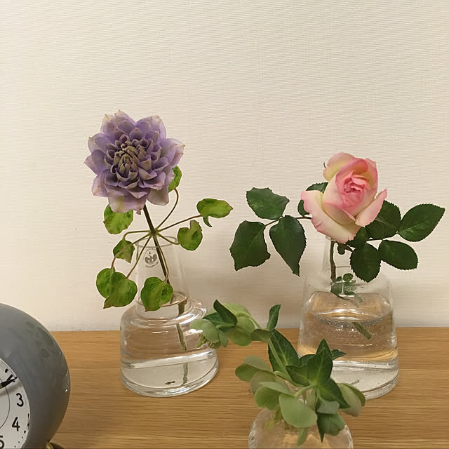 canacoさんの実例写真