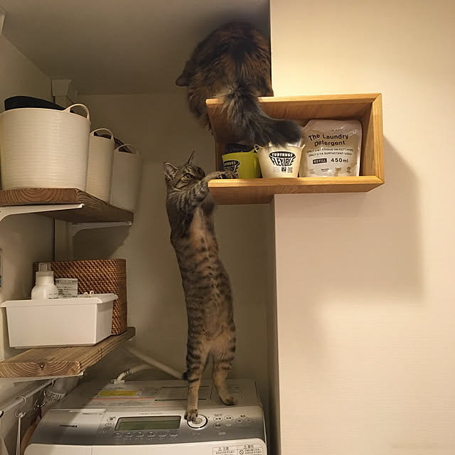 mikomaruさんの実例写真