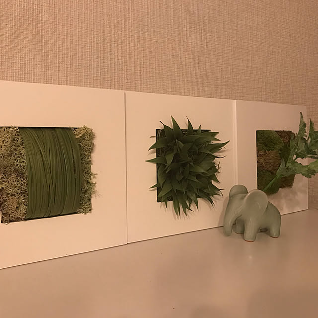 ponguuさんの実例写真