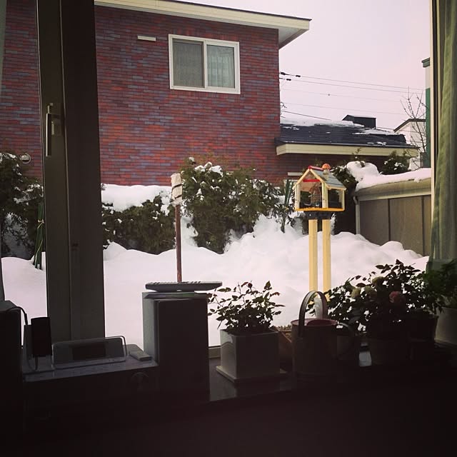 kinokoさんの実例写真